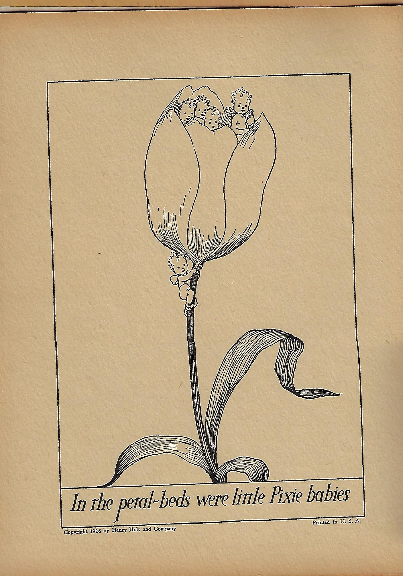 Isidora Newman / The Legend of the Tulip