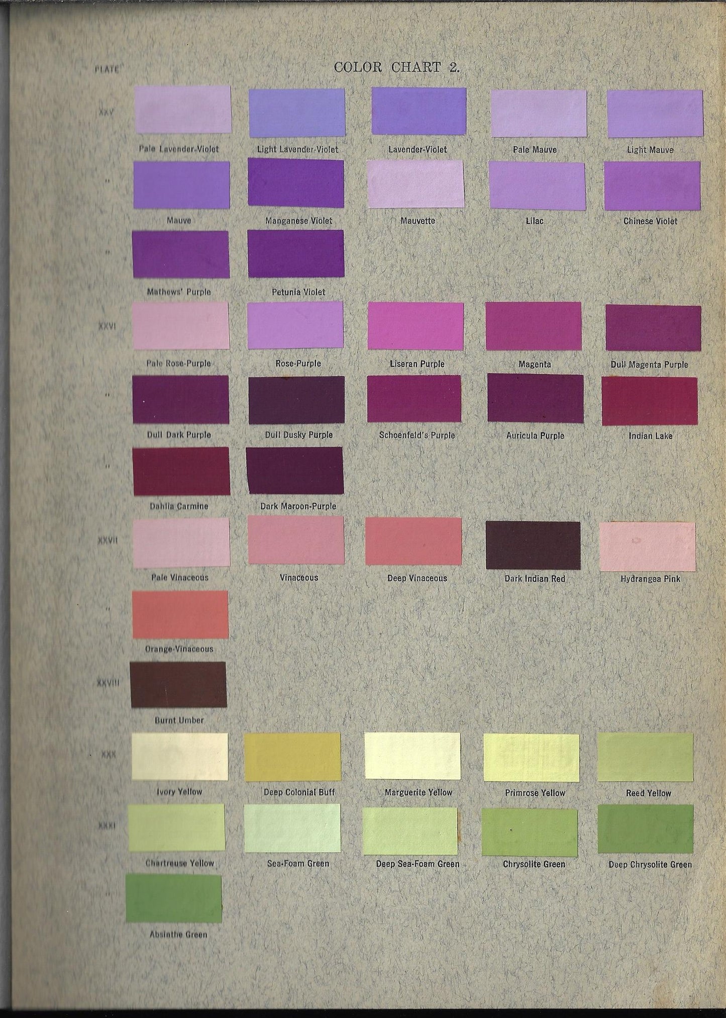 Susan Delano McKelvey / The Lilac a Monograph 1st Edition