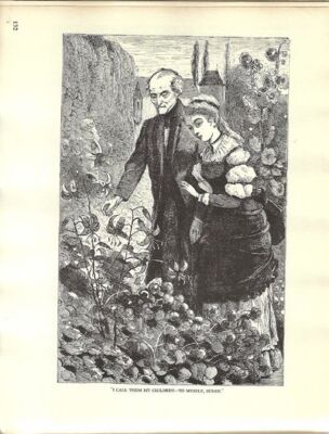 Barbara Ed: Gelman / The Wood Engravings of Winslow Homer