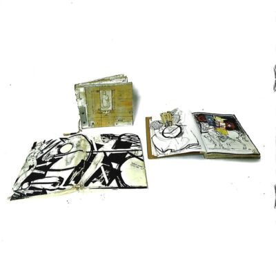 Arlys W Raymond / Found Object Found Love 1st Edition