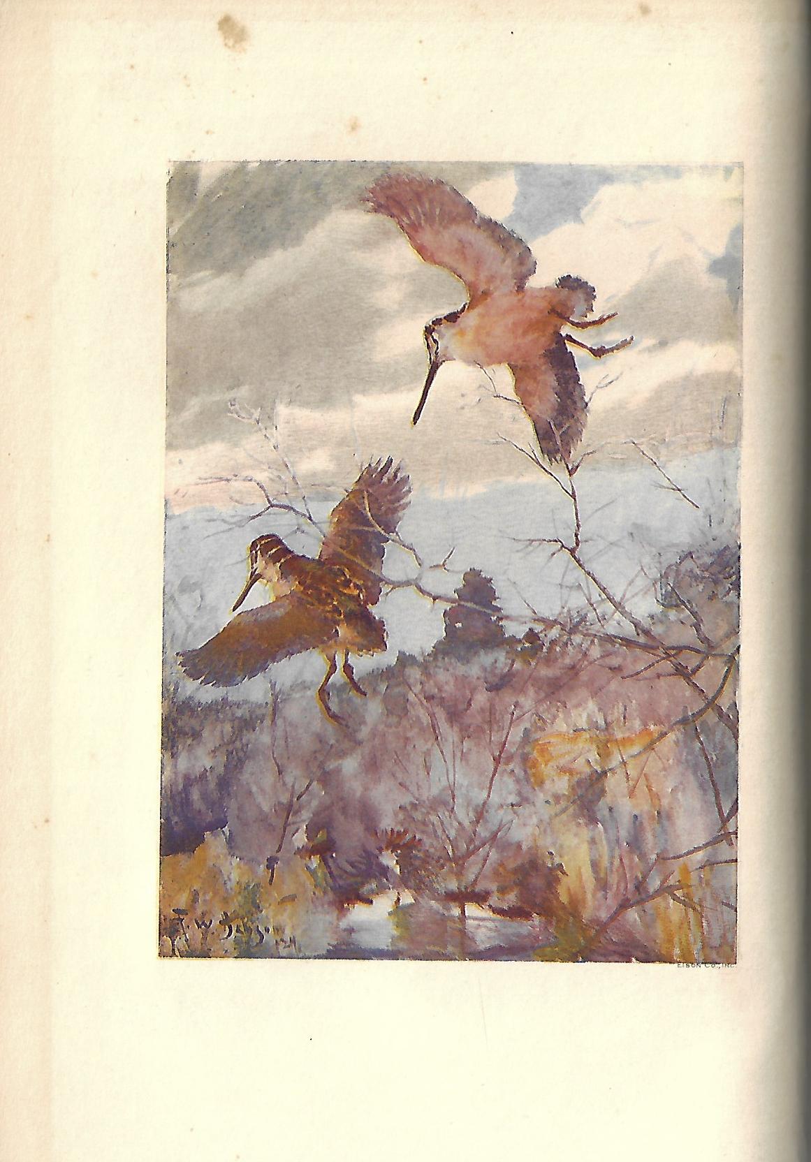 Ed: John C Phillips / Classics of the American Shooting Field 1st Edition