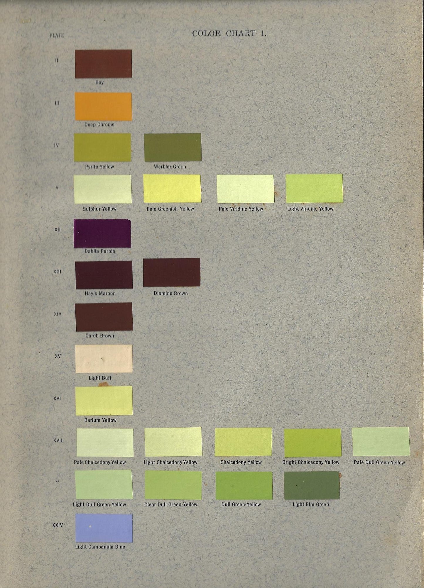 Susan Delano McKelvey / The Lilac a Monograph 1st Edition