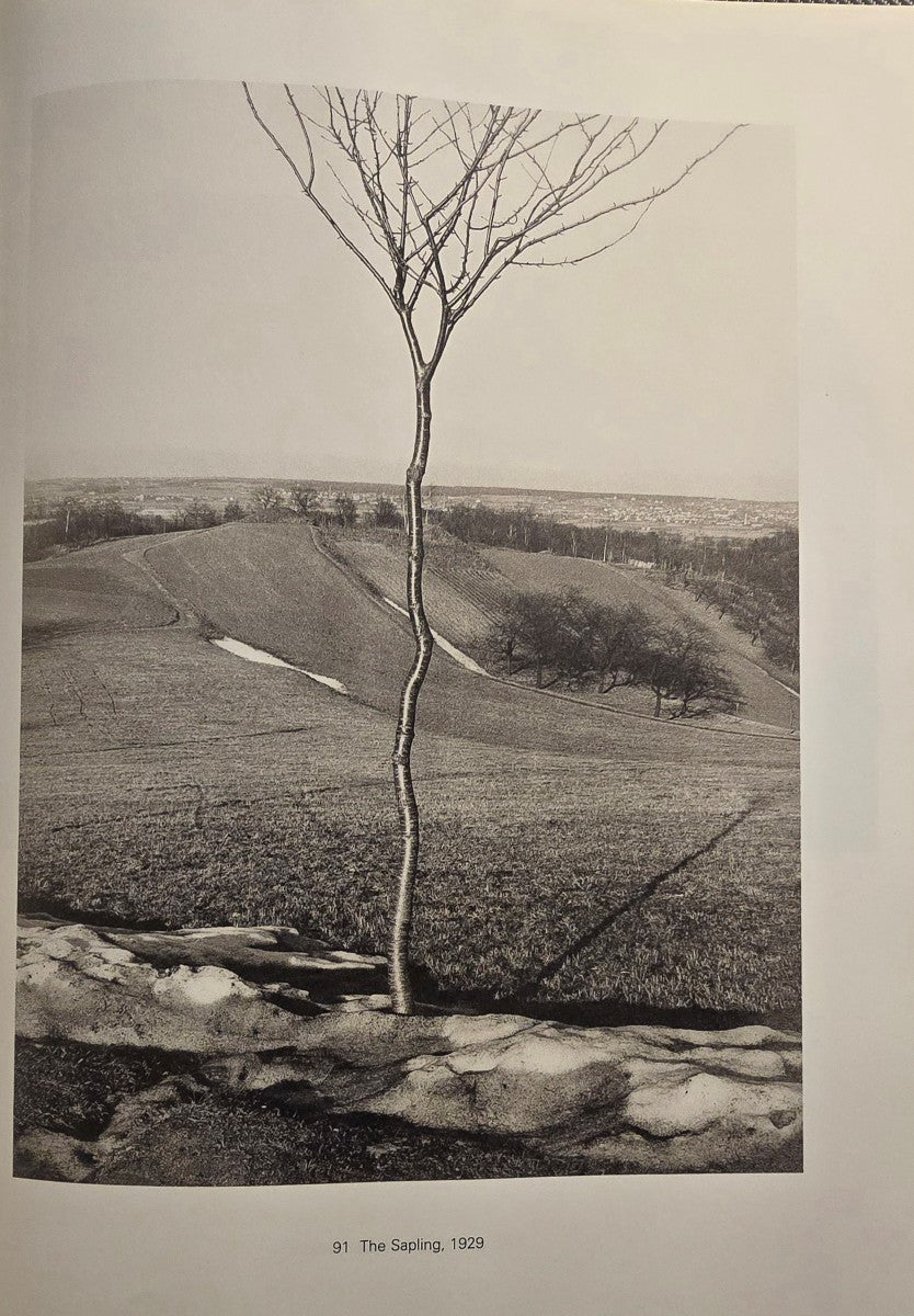Albert Renger - Patzsch Photographer of Objectivity