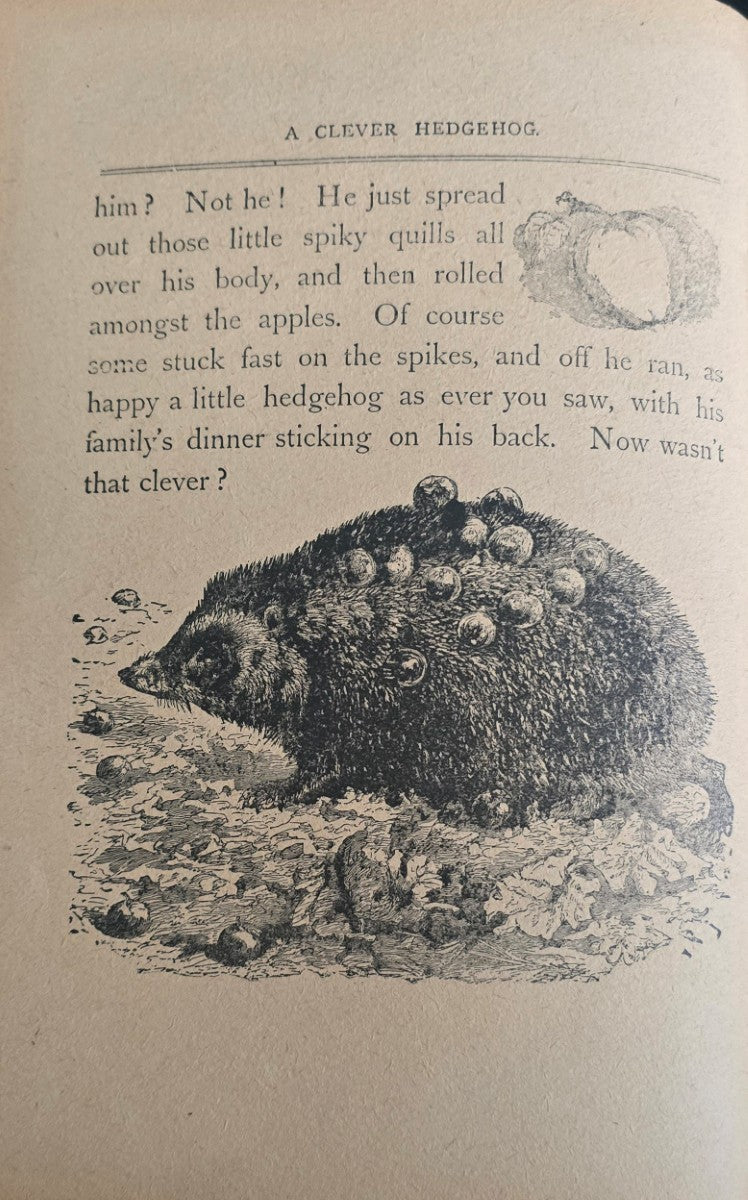 Child's Own Book of Animals