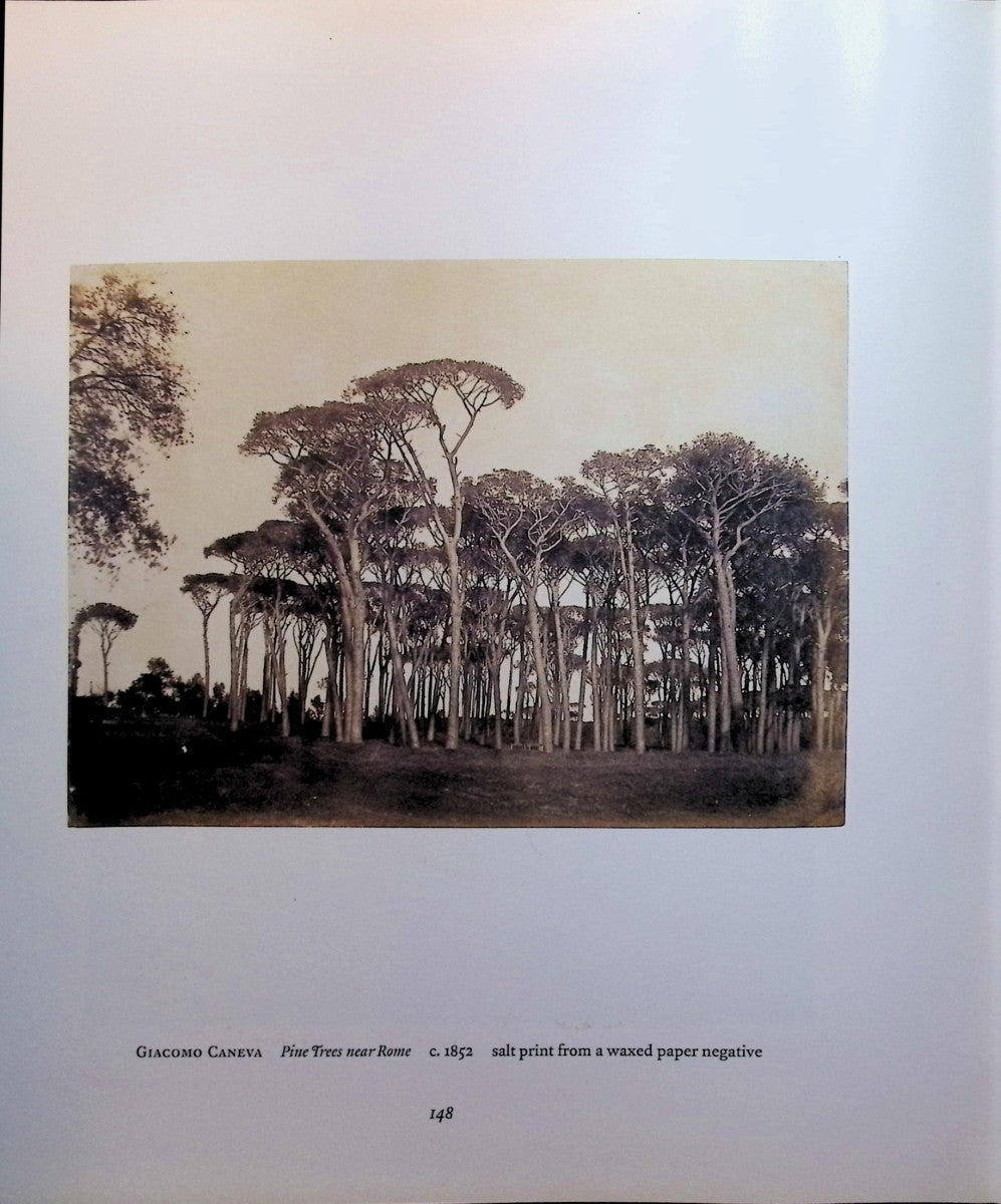 A Gift of Light Photographs from the Janos Scholz Collection