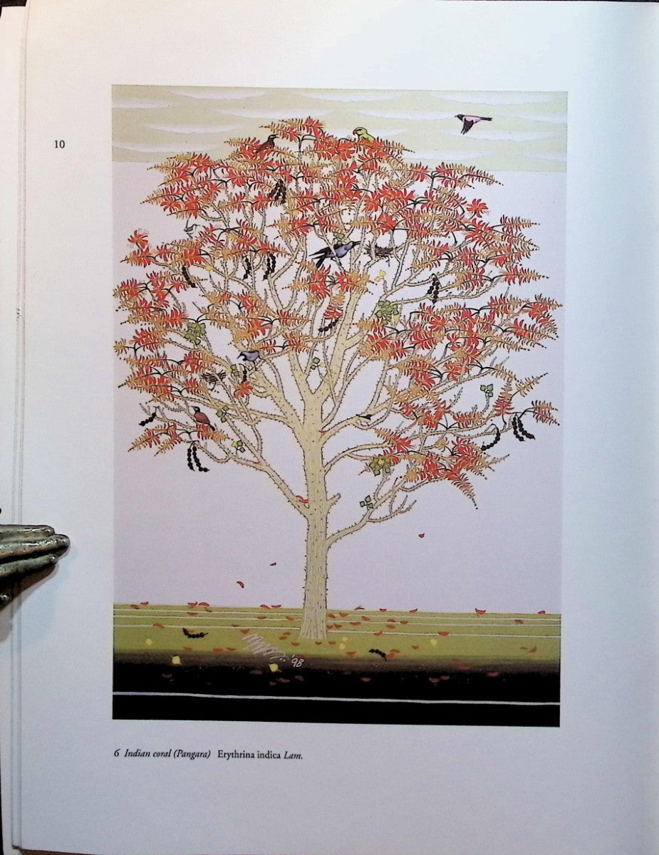 Portraits of Indian Trees