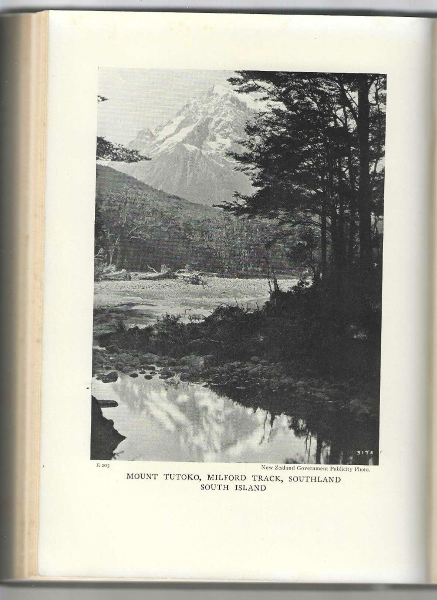 Goldseekers and Bushrangers in New Zealand