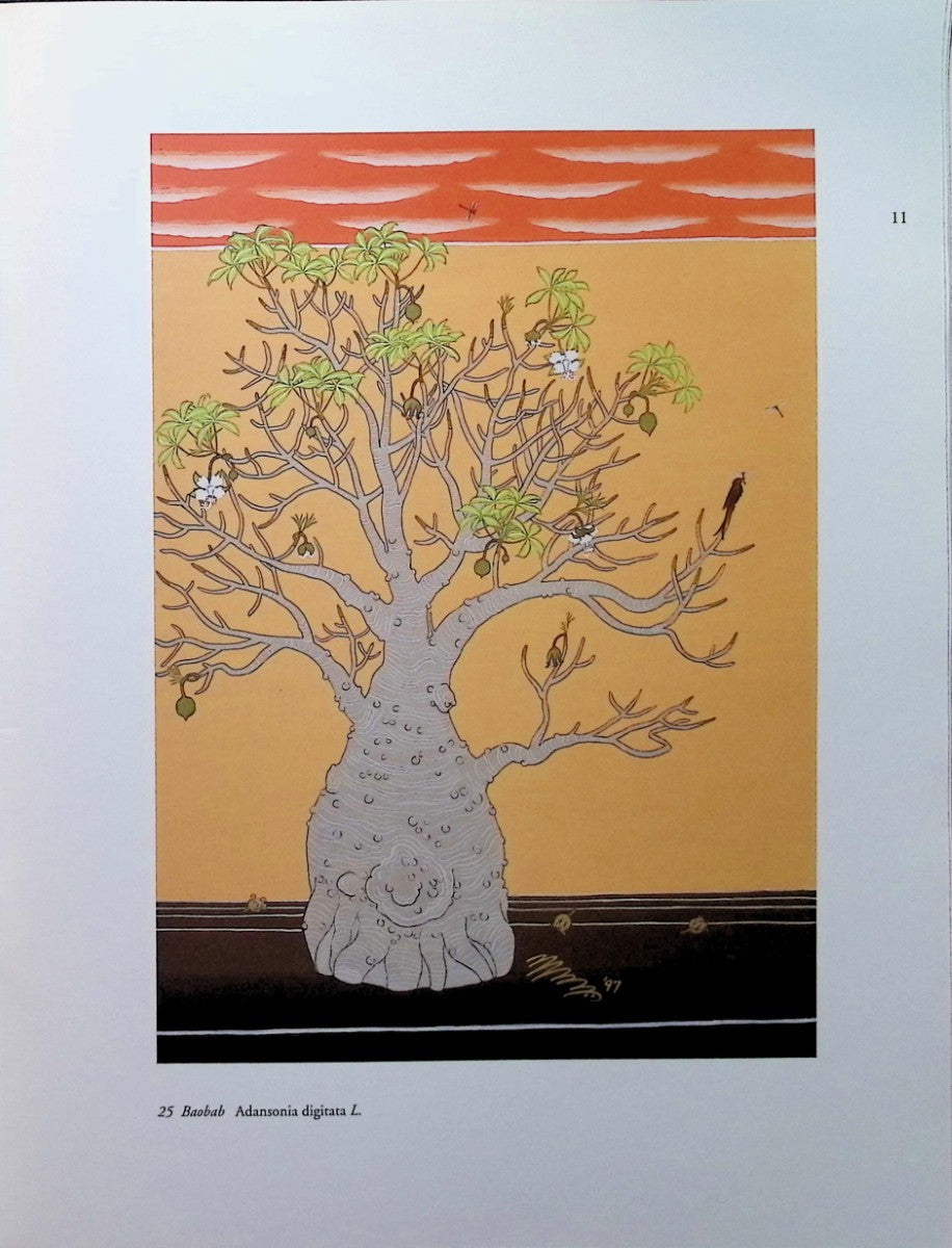 Portraits of Indian Trees