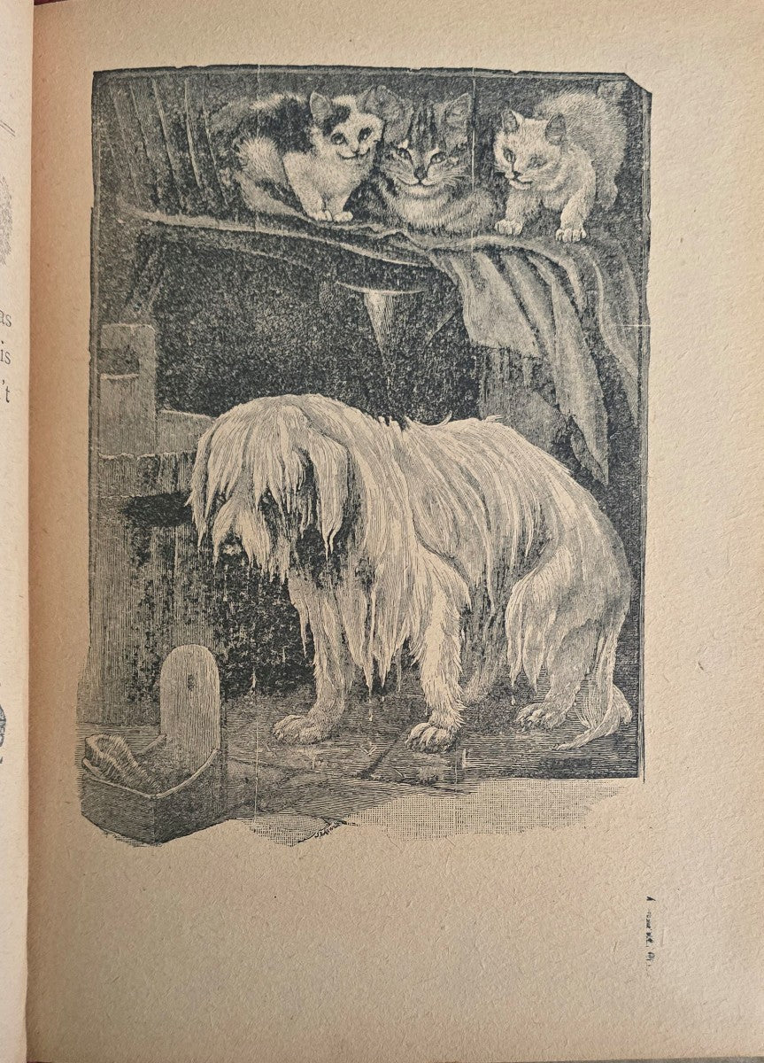 Child's Own Book of Animals